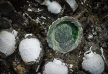 น่าทึ่ง! จีนค้นซากเรือสินค้าราชวงศ์ซ่ง พบสมบัติ-วัตถุโบราณ 143,000 ชิ้น