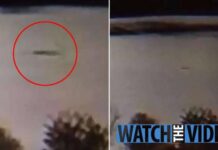 นักติดตามสัตว์ประหลาด อ้างเห็น “เนสซี” แห่ง “ล็อกเนสส์” 3 ครั้งในเดือนเดียว สัตว์ประหลาด “เนสซี” แห่ง “ล็อกเนสส์”